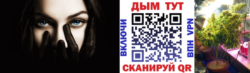 Магазины продажи наркотиков Каменск-Шахтинский Канабис Альфа ПВП Гашиш Метамфетамин КОКАИН