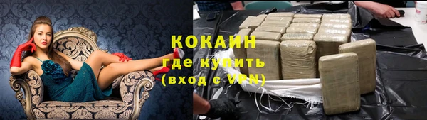 твердый Абаза