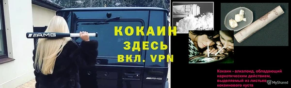 твердый Абаза