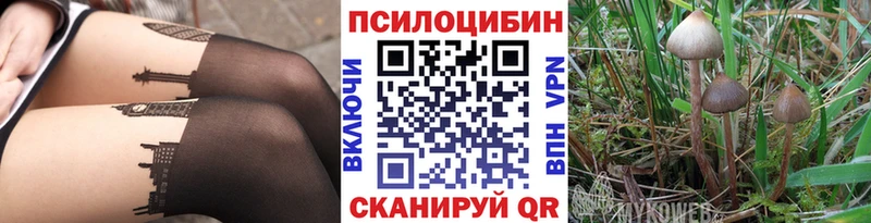 Галлюциногенные грибы Magic Shrooms  darknet телеграм  Каменск-Шахтинский 